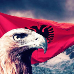 Në Shqipëri